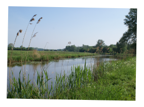 Verrassend PlatteLand van Cuijk