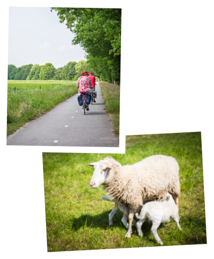 Verrassend PlatteLand van Cuijk