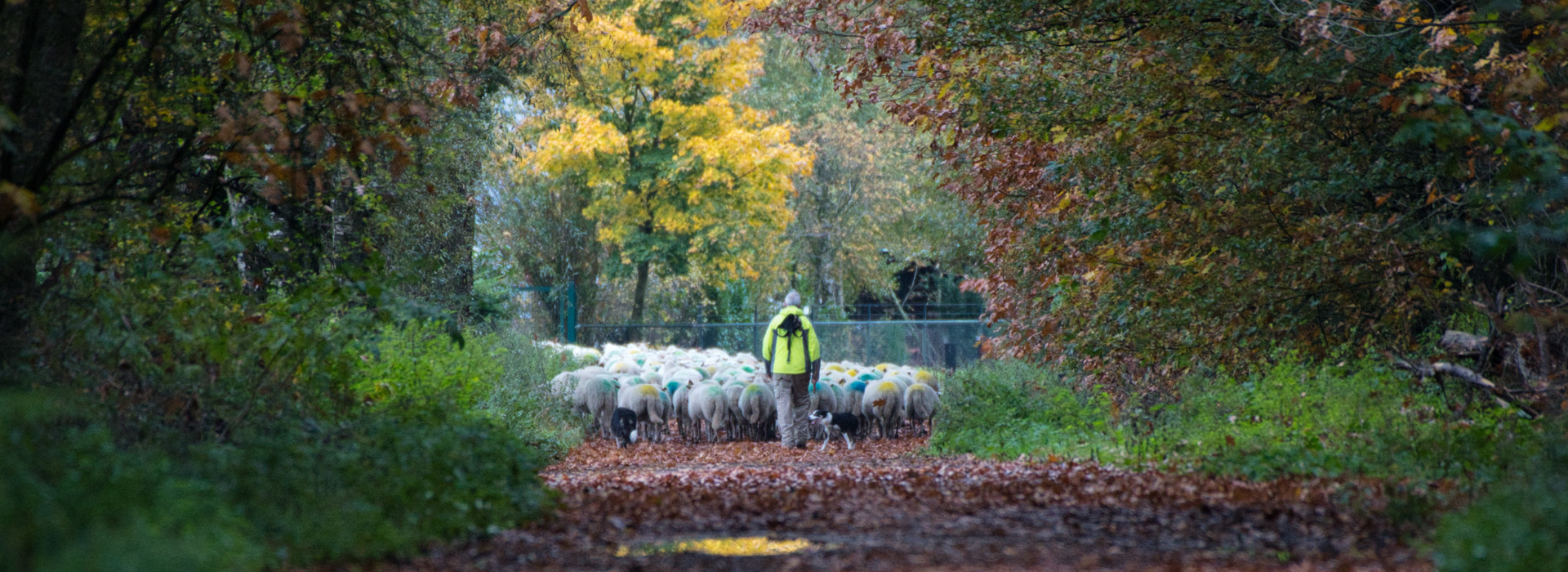 Fotograaf: Ellen Duvekot