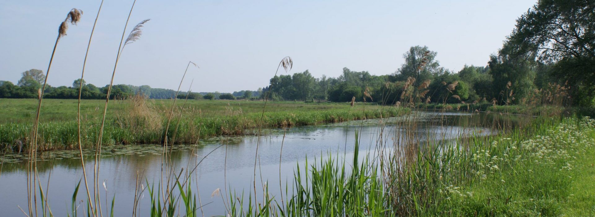 Verrassend PlatteLand van Cuijk - Raamdal
